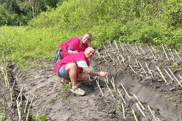 Chiang Mai: Día Completo Santuario Ético de Elefantes y Cascada