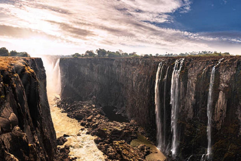 Sunrise Tour of Victoria Falls via Big Tree & Falls Bridge