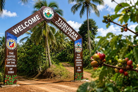Cebu: Highlands Escape with Coffee Farm Experience