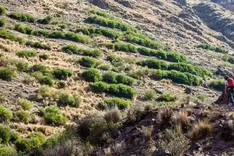 Senderismo Huchuy Qosqo