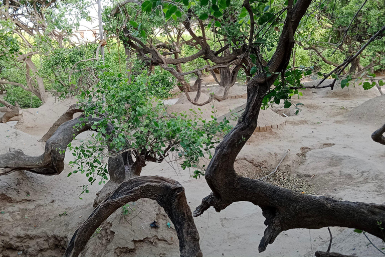 Visita às cidades sagradas: Varanasi, Allahabad, Ayodhya, MathuraExcursão sem alojamento