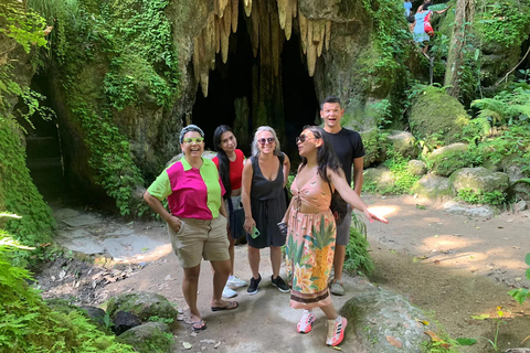 Visite guidée du jardin botanique et du parc Lage au cœur de Rio