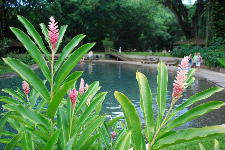 Montego Bay/Negril: Appleton Rum Experience & YS Falls Climb