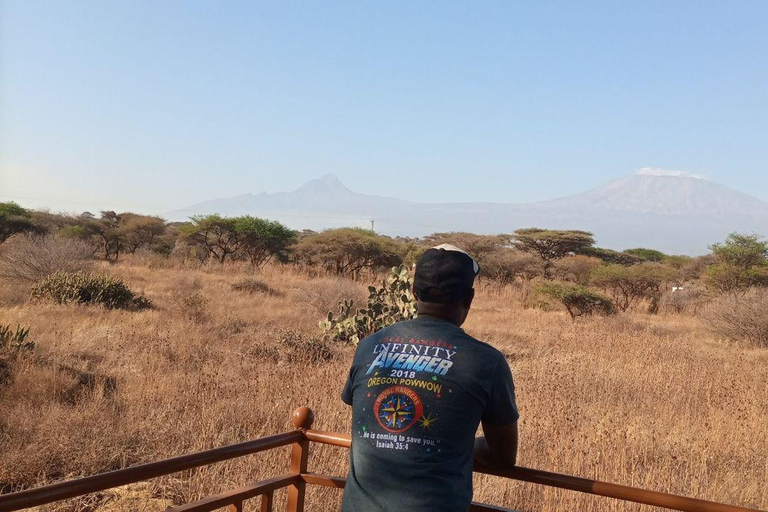 Nairobi: Amboseli National Park Day Trip with Lunch Luxury Landcruiser Option