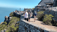 Cape Town, Table Mountain (salta la linea) inclusa Hotel t/fer - Housity