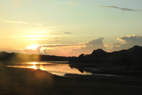 From Waligama, Mirissa, Tangalle, Yala safari & drop to Ella Yala Full day safari