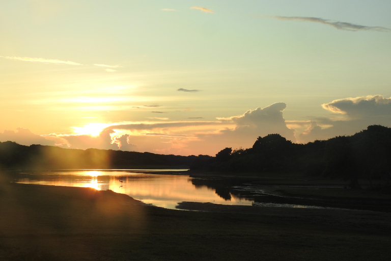 From Waligama, Mirissa, Tangalle, Yala safari & drop to Ella Yala Full day safari