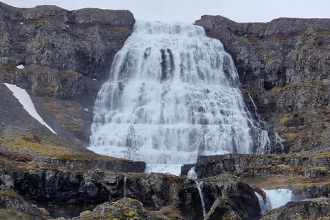 Ísafjörður Shore Excursion: Dynjandi & Westfjords