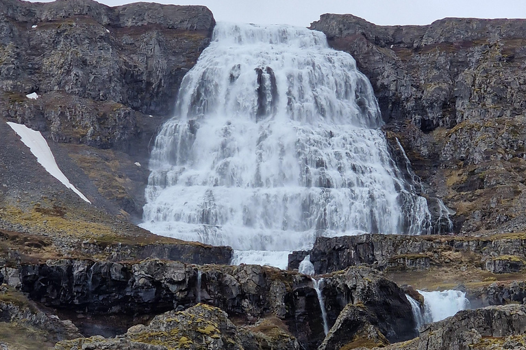 Ísafjörður Shore Excursion: Dynjandi & Westfjords