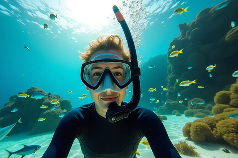 Ilha Do Sal: nurkowanie z lokalnym przewodnikiemIlha Do Sal: Nurkowanie z lokalnym przewodnikiem