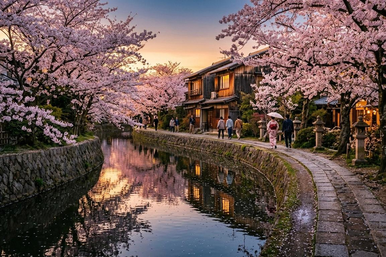Kyoto: Private Guided Tour With Vehicle and Optional Add-Ons