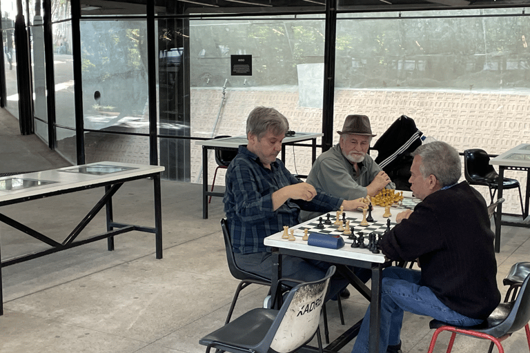 São Paulo: Underground Culture and Arts TourSão Paulo: tour door de undergroundcultuur en -kunst