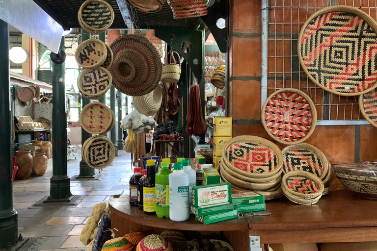 Manaus: Historical City Tour Historical City Tour