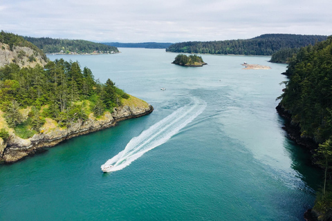 Seattle: Whidbey Island Deception Pass + Winter Birding Trip