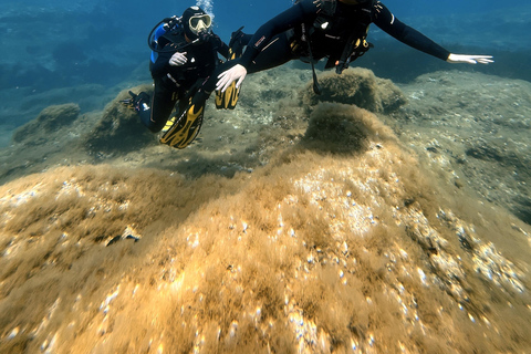 Malte : Baptême de plongée sous-marine en Français