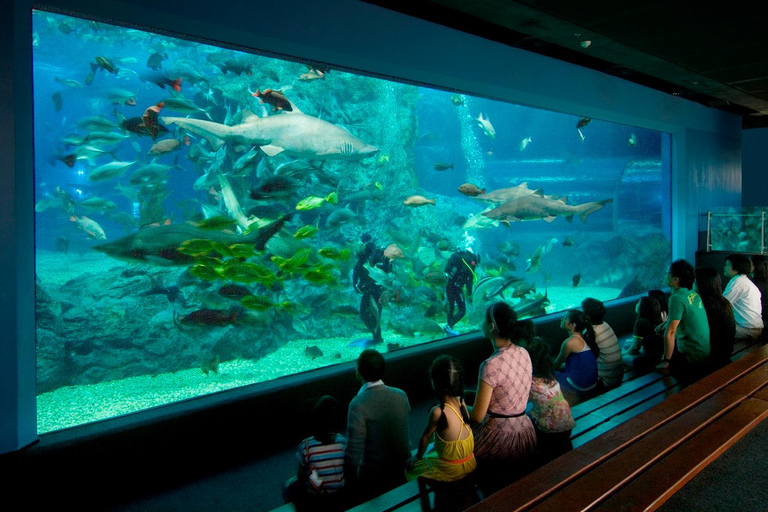 Bangkok: biglietto d'ingresso al SEA LIFE Bangkok Ocean WorldPrenotazione anticipata per date fuori stagione