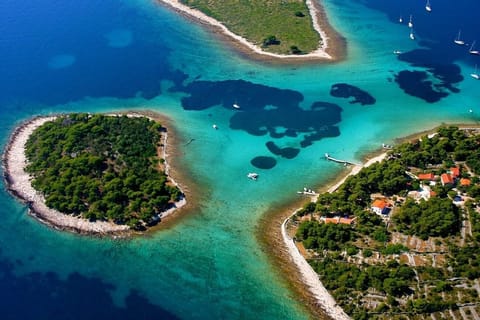 From Split: Private Blue Lagoon & Pakleni with Wine Tasting