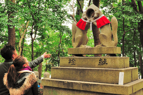 Kyoto & Nara: Guided Walking Tour with Deer Encounter