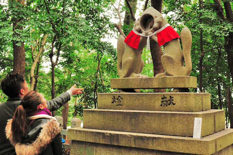 Kyoto & Nara: Guided Walking Tour with Deer Encounter