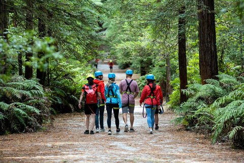 Rotorua: Avventura ad alta quota RedwoodsRotorua: avventura su corde alte in altitudine di Redwoods