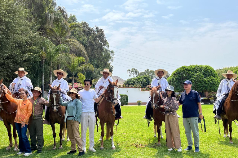 From Lima: Peruvian Paso Horse Show with Lunch and Traditional Dances From Lima, a Peruvian Paso Horse Show with lunch and traditional dances