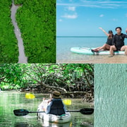 Ishigaki: Mangrove & Sea SUP/Kayak Tour with SLR & Drone footage