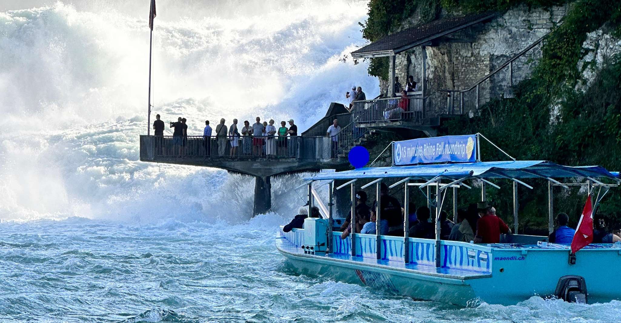 Tour privado a las Cataratas del Rin con recogida en el Hotel - Hizvo