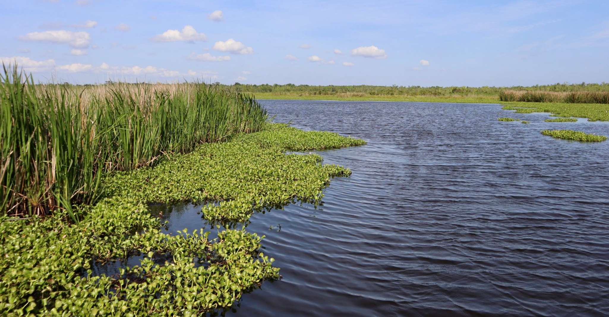 New Orleans, Oak Alley or Laura Plantation & Airboat Tour - Housity