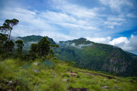 Lipton&#039;s Seat, Adisham Bungalow, excursão à fábrica de chá DambetennaDe Ella: Duas noites e três dias - Tour totalmente particular