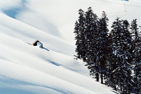 From Batumi: Bakhmaro Winter Tour with Nabeghlavi Stop