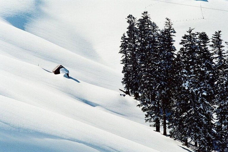 From Batumi: Bakhmaro Winter Tour with Nabeghlavi Stop