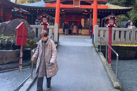 From Tokyo: Hakone Full Day Customizable Private Tour