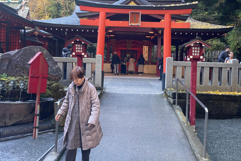 From Tokyo: Hakone Full Day Customizable Private Tour