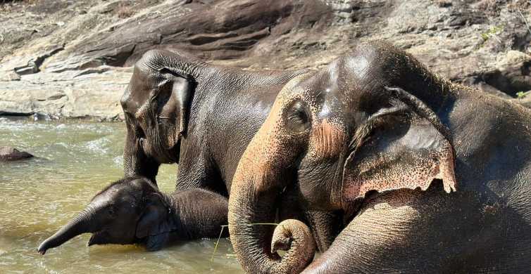 Chiang Mai: Wasserfall, Elefanten-Schutzgebiet und Rafting-Tour
