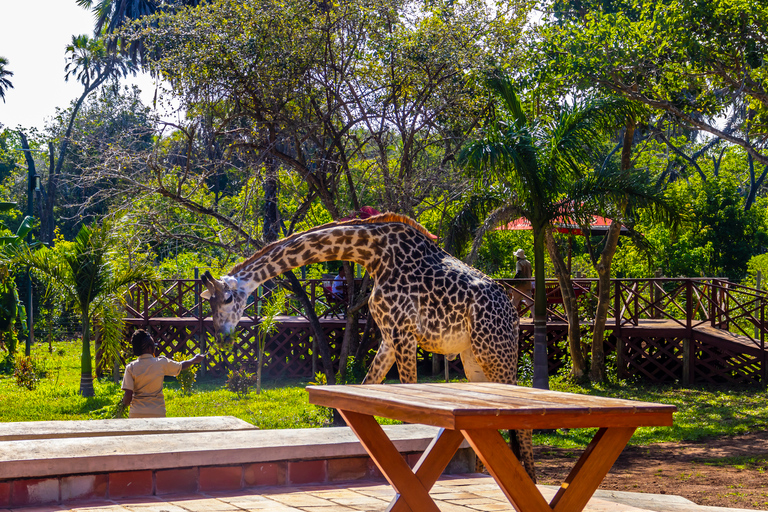 Exploring Nature's Treasures: A Private Day Trip in Diani Exploring Nature's Treasures: A Day Trip in Diani