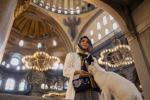 Istanbul: Private Hagia Sophia & Basilica Cistern Tour Private Experience ( Multilingual Licensed Guide )