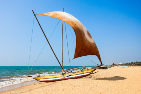 Negombo Lagoon private Tour