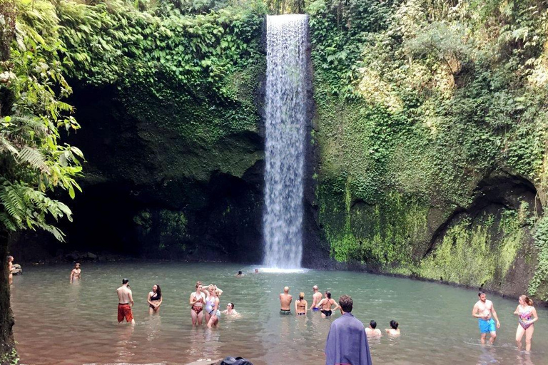 Bali: Moeder Tempel, Penglipuran Dorp & Beste Waterval