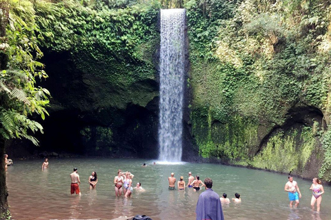 Bali: Die besten Wasserfälle und Reisterrassen mit privaten TransfersTour inkl. Eintrittsgelder, Abholung und Rücktransfer