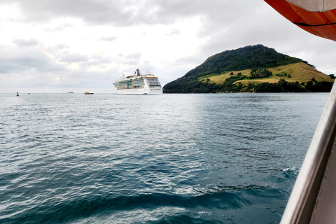 Tauranga Harbour Cruise