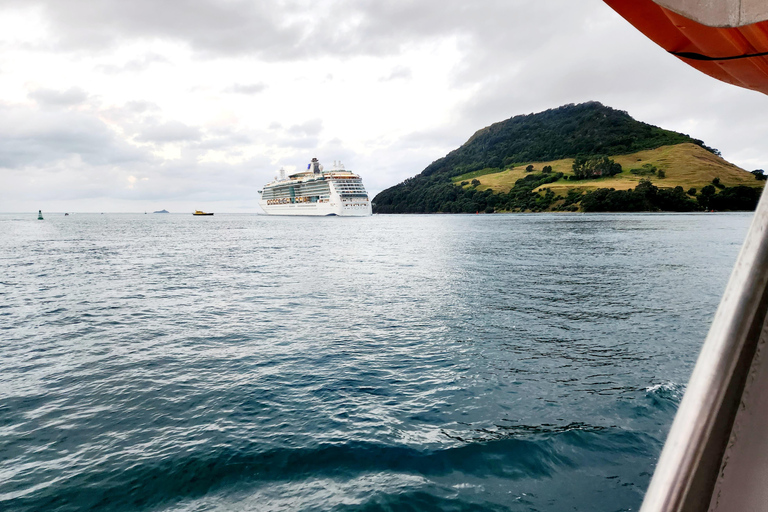 Crociera nel porto di Tauranga