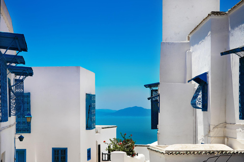 From Sousse & Monastir: Carthage, Sidi Bou Said & Tunis Tour