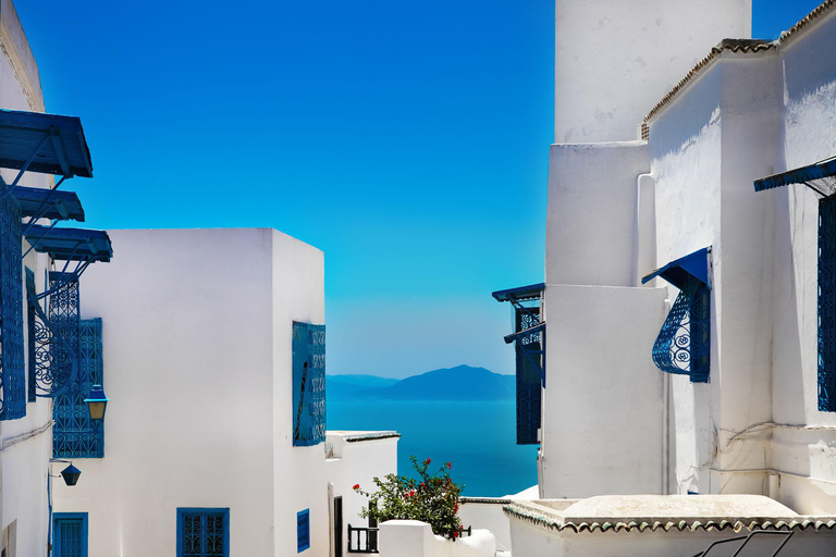 From Sousse & Monastir: Carthage, Sidi Bou Said & Tunis Tour