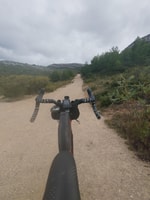 电子公路 /电子美食自行车租用Cannondale Synapse Neo Size M - Housity