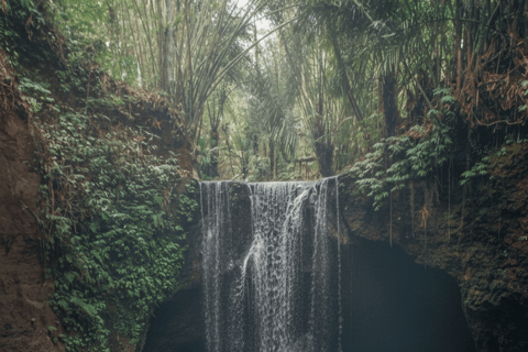 Bali: Hidden And New Secret Waterfalls All Including