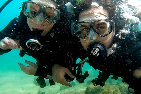 from Rio de Janeiro: Diving in Buzios