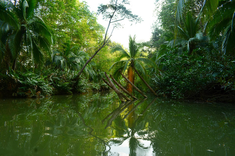 Manuel Antonio Mangrove Boat Tour