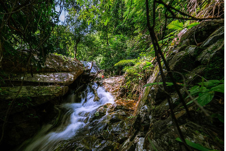 Phnom Penh: 4 dias de trekking e acampamento em Phnom TomporApenas fim de semana