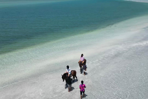 Hessi Jerbi Zarzis Day Trip: The Unmissable Getaway from Djerba