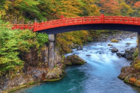 From Tokyo: Private Nikko World Heritage Sights One Day Trip